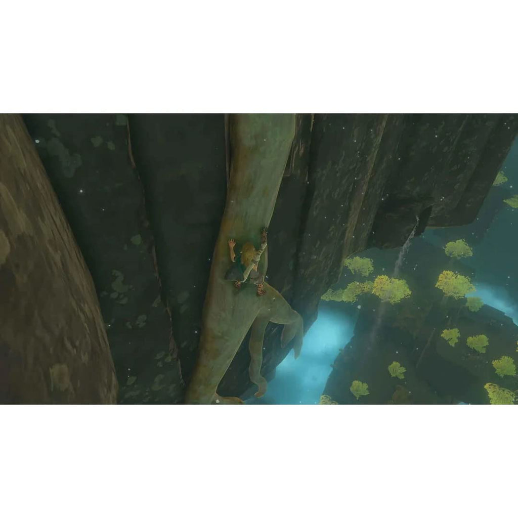 The Legend of Zelda: Tears of the Kingdom - Nintendo Switch X3211