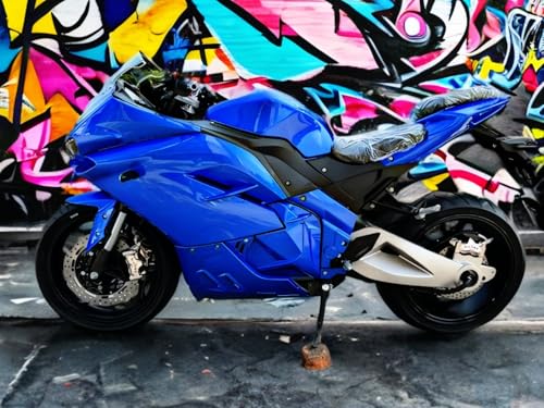 Electric Sport Motorcycle 40hp 72V Li-Ion 150mi Range N25165
