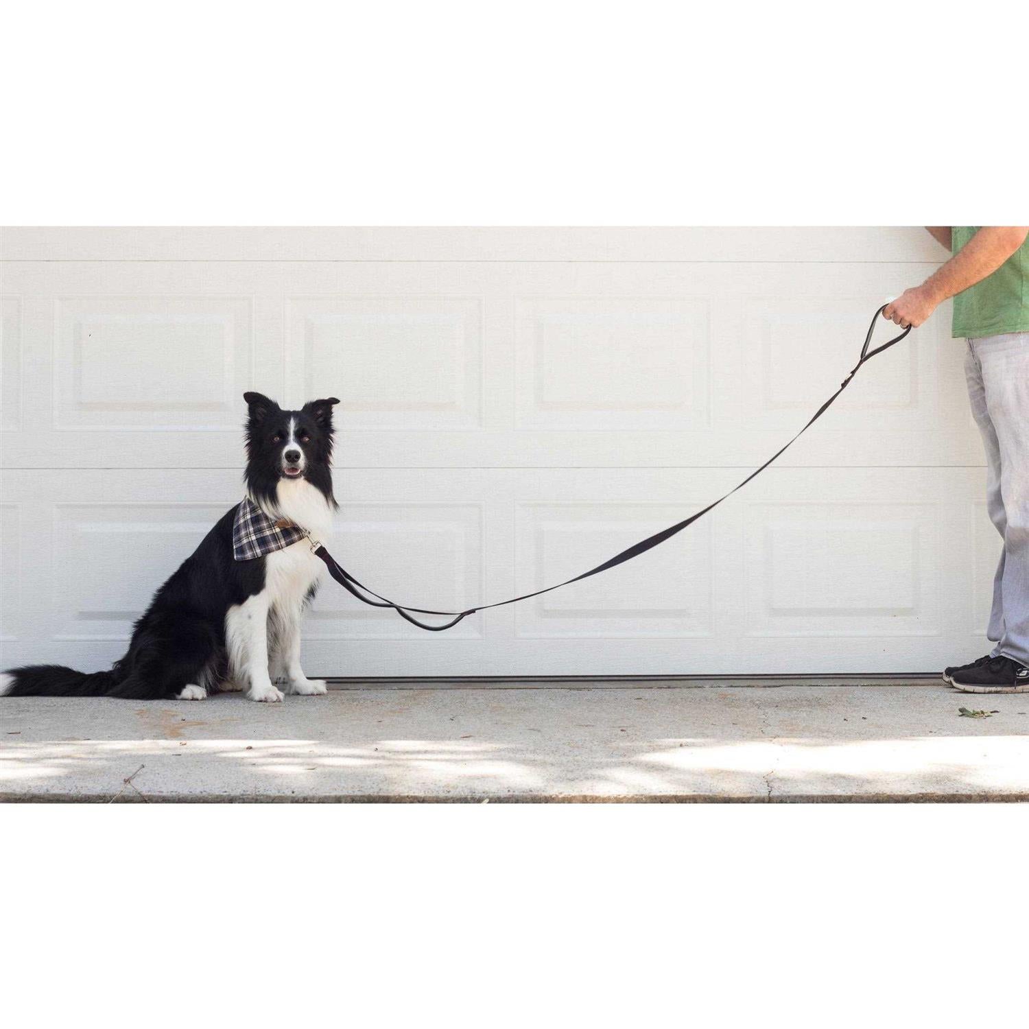 Leashboss Heavy Duty Dog Leash for Large Dogs with Double Handle Training Lead T7385