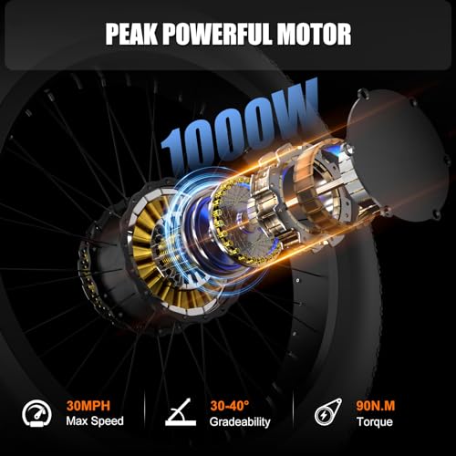1000W Dual Motor Adults Electric Bike 48V 30Ah Fat Tire Ebike H2608