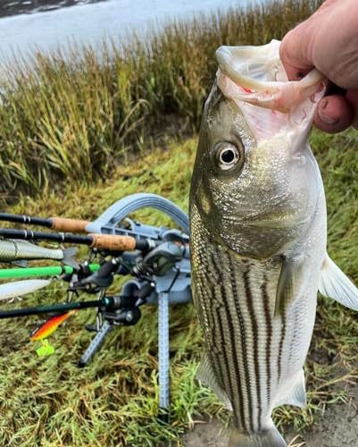 Rod-Runner Fishing Rod Carrier Pro 5 Portable G596528