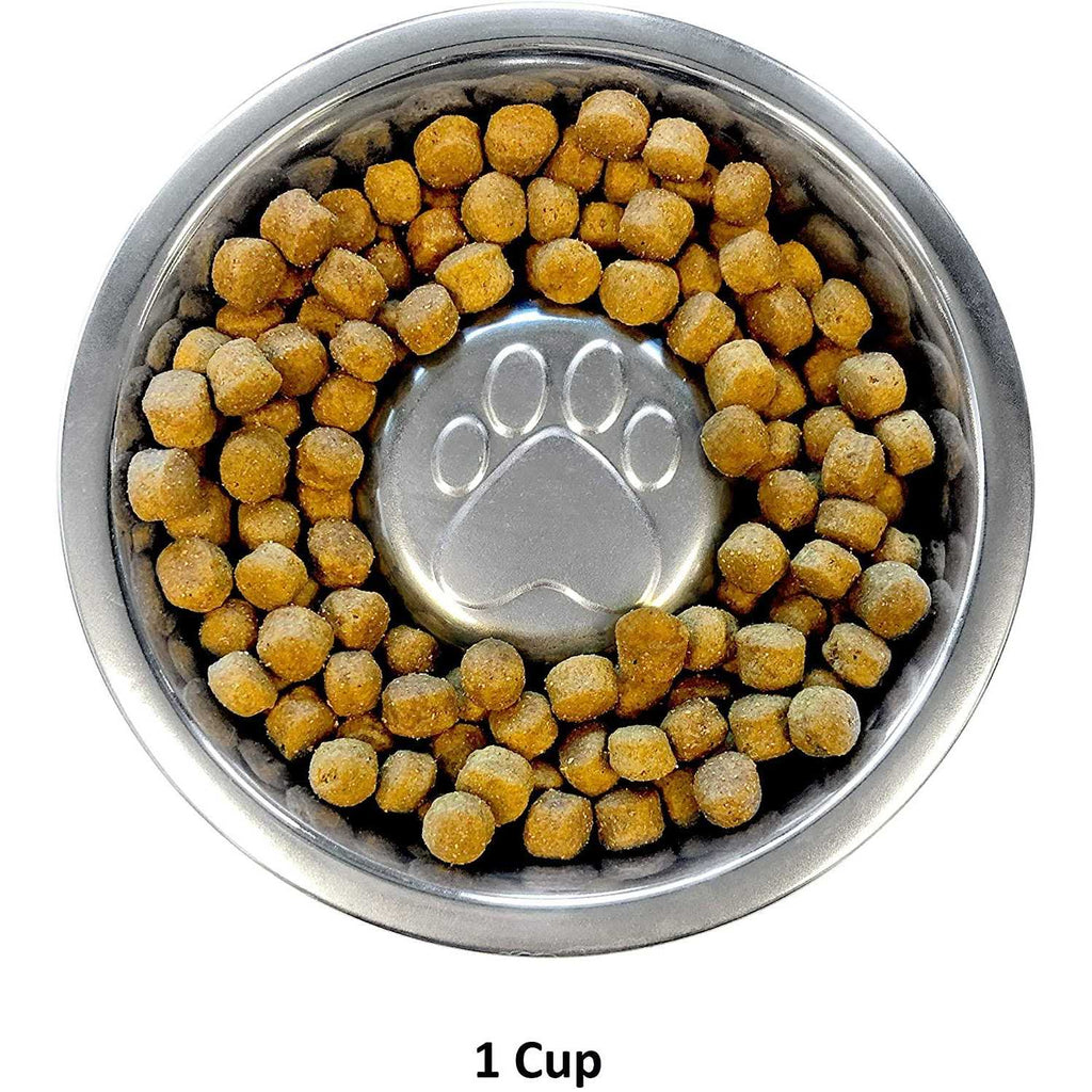 Stainless Steel Slow Feed Bowl by Neater Pet Brands Z6342
