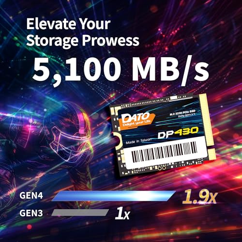 DATO DP430 1TB M.2 2230 PCIe Gen4x4 NVMe SSD Z438