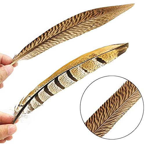 Flying Feathers Natural Pheasant Feathers 12pcs for DIY Craft Decor V9204