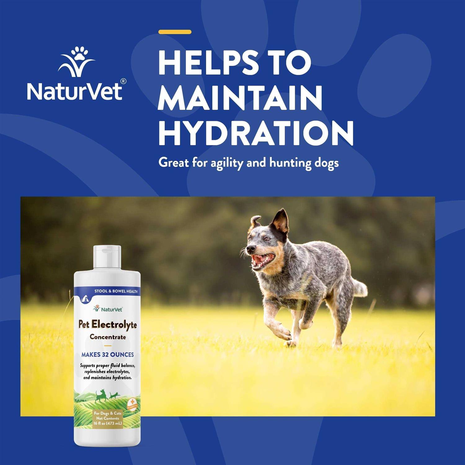 NaturVet Pet Electrolyte Concentrate 16 oz for Dogs & Cats I445167