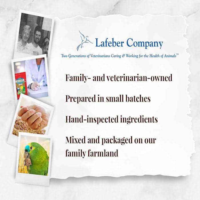 Lafeber Classic Avi-Cakes Parrot Food C332