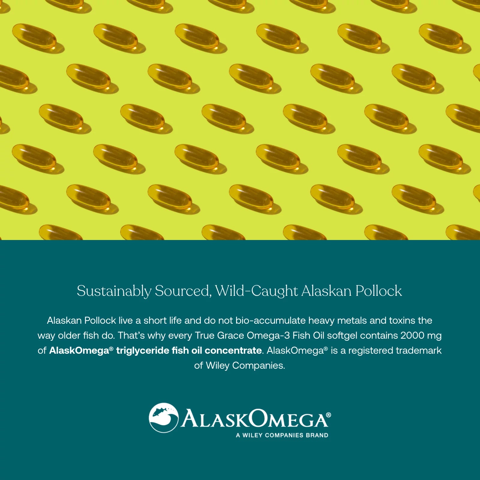 True Grace Omega-3 Fish Oil 2000 mg Supplement EPA + DHA - 120 Softgels E3413