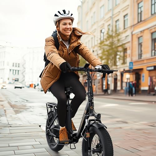 CycFree Electric Bike for Adults, 1000W Peak Motor, 48V 15.6Ah Removable Battery, 20" Fat Tire Step-Thru E21109