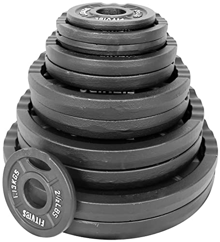 Olympic Cast Iron Weight Plates for Strength Training, Multiple Sizes S1890
