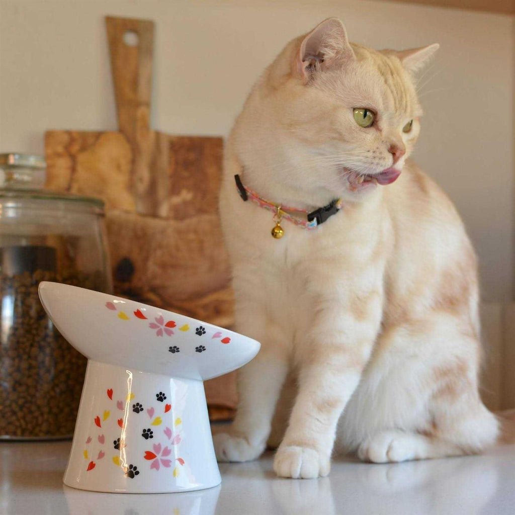 Necoichi Extra Wide Raised Cat Food Bowl S51296