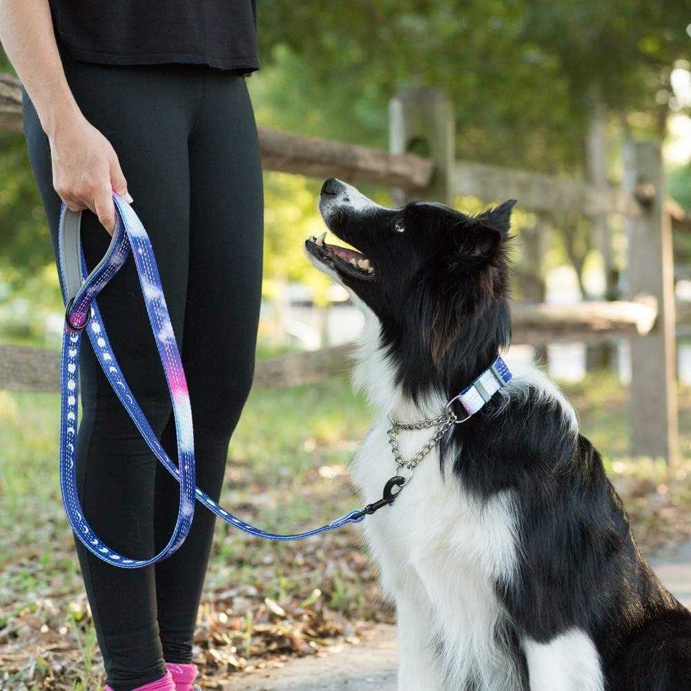 Leashboss Patterned Reflective Chain Martingale Dog Collar D6781