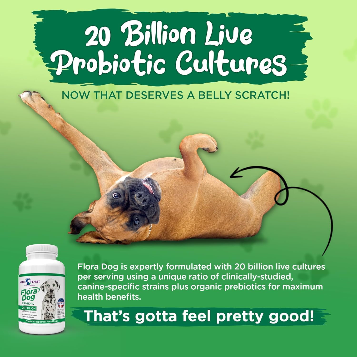 Vital Planet Flora Dog Probiotic Chewable Tablets, 30 Beef Flavored M70738