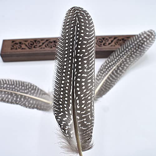 Flying Feathers Natural Pheasant Feathers 12pcs for DIY Craft Decor V9204