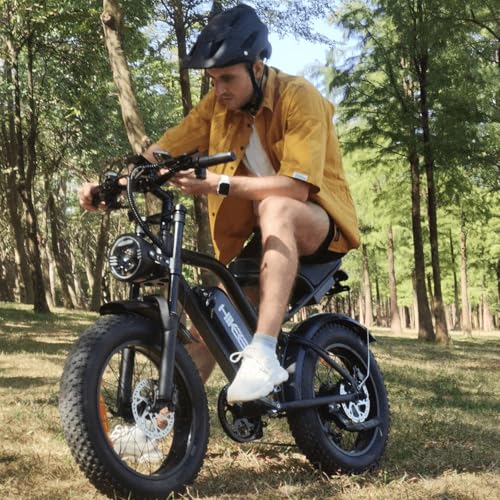 K6 Electric Bike for Adults, 20 x 4 Inch Fat Tire, 750W Motor, 48V Detachable Battery M879