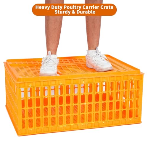 Heavy Duty Plastic Poultry Carrier Crate Transport Cage M402712