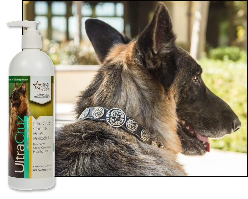 UltraCruz Canine Pure Pollock Oil Supplement for Dogs, 16 oz I83403
