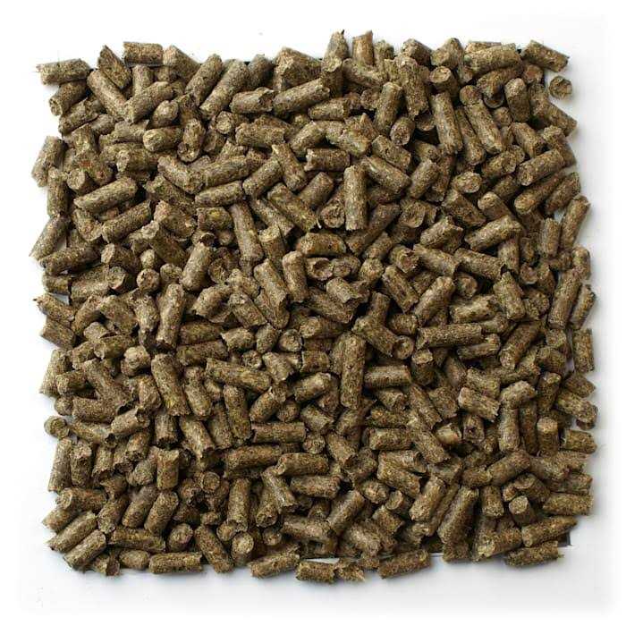 Mazuri Chinchilla Diet Y525