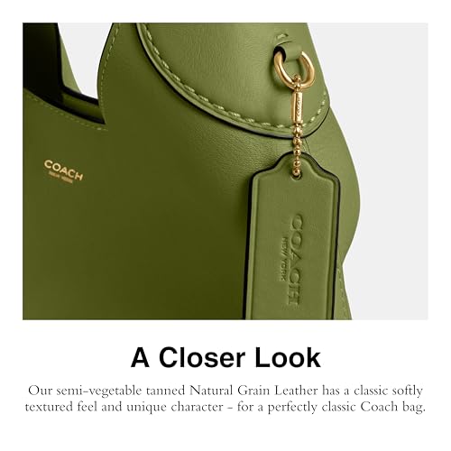 Coach Brooklyn Shoulder Bag V1099