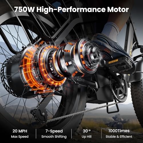 CycFree Electric Bike for Adults, 1000W Peak Motor, 48V 15.6Ah Removable Battery, 20" Fat Tire Step-Thru E21109