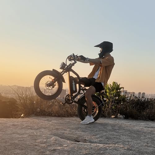K6 Electric Bike for Adults, 20 x 4 Inch Fat Tire, 750W Motor, 48V Detachable Battery M879