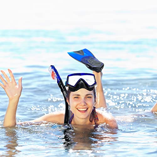 Snorkel Mask Fin Set with Dry Top Snorkel and Travel Bag for Adults D12217