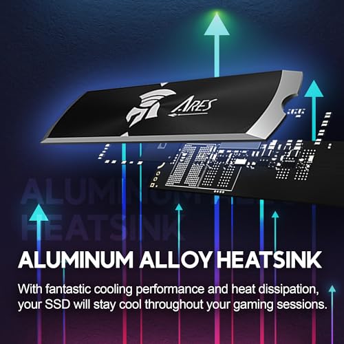 DATO 1TB Internal SSD with Heatsink M.2 2280 PCIe Gen4 for PS5 Gaming PC O3949