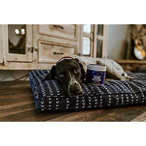 Natural Rapport Calming Soft Chews for Dogs X7254