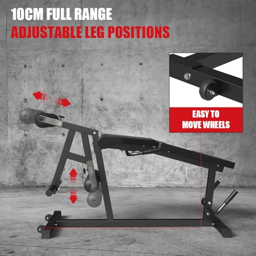 Seated Leg Extension and Lying Leg Curl Machine for Home Gym F986