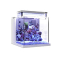 MagTool Premium All-in-One Desktop Mini Acrylic 0.95gal Reef Aquarium with Back Filter System and LED Light - Pet Supplies online store