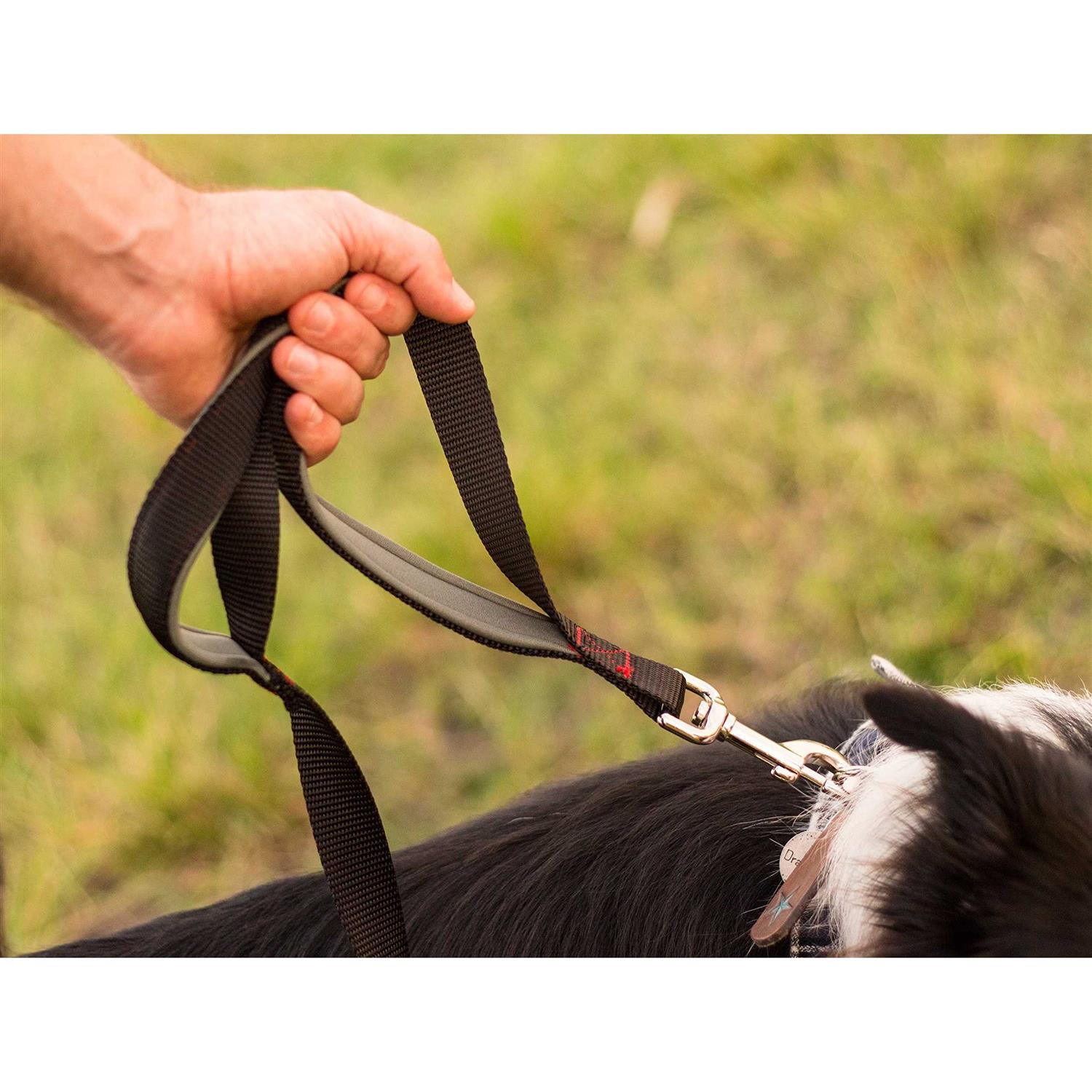 Leashboss Heavy Duty Dog Leash for Large Dogs with Double Handle Training Lead T7385
