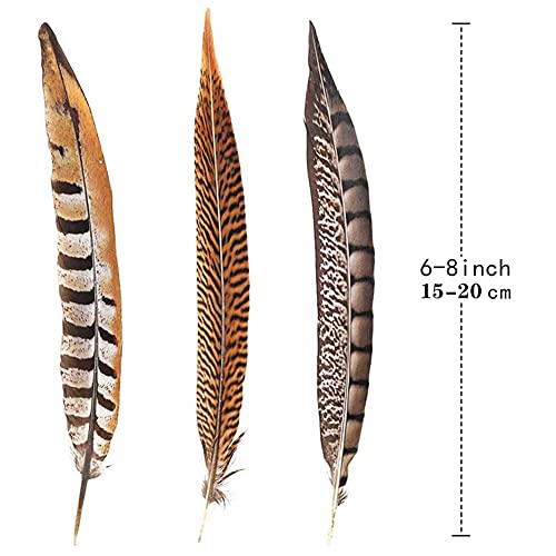 Flying Feathers Natural Pheasant Feathers 12pcs for DIY Craft Decor V9204