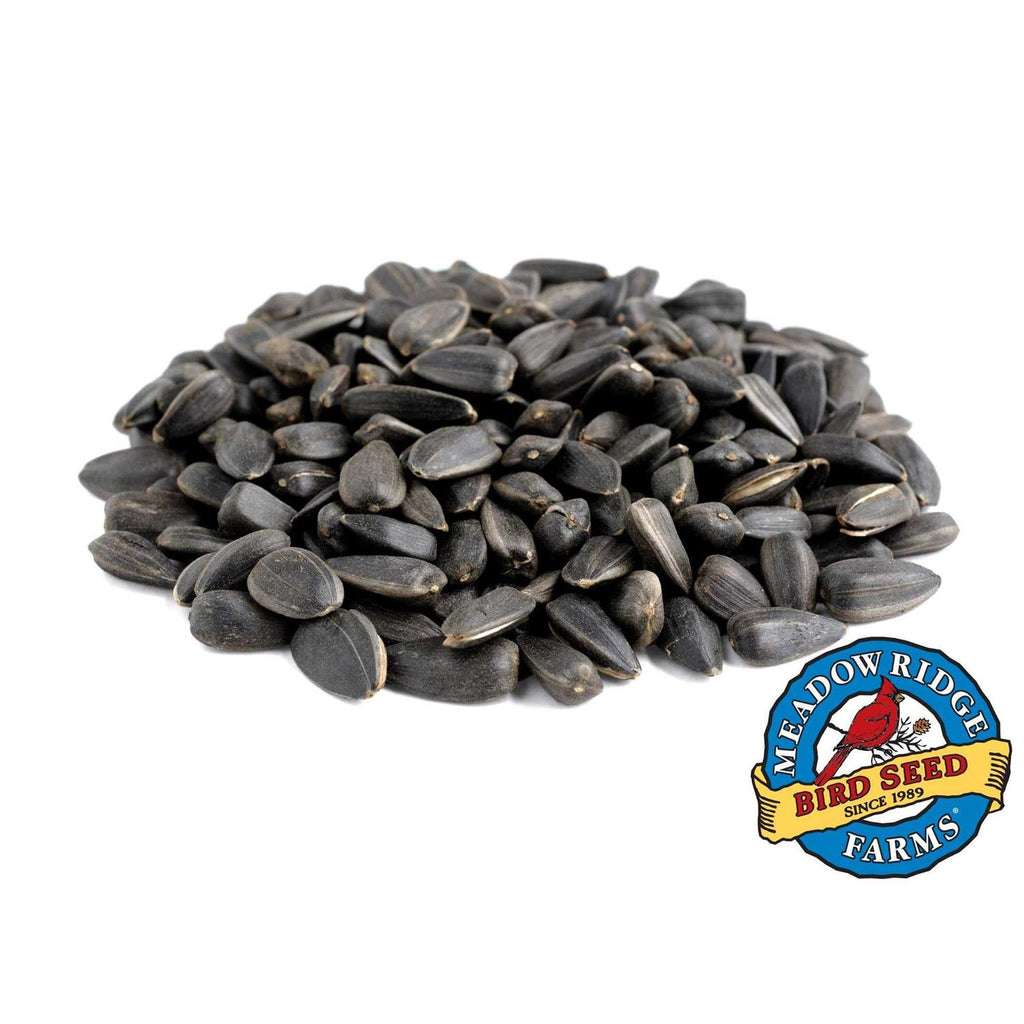 Meadow Ridge Farms Black Oil Sunflower Bird Seeds, 20 lb I7190