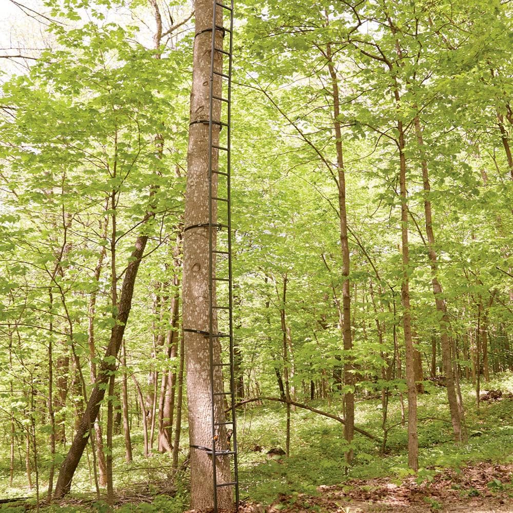 Guide Gear Climbing Ladder for Tree Stands, 20’ V926497