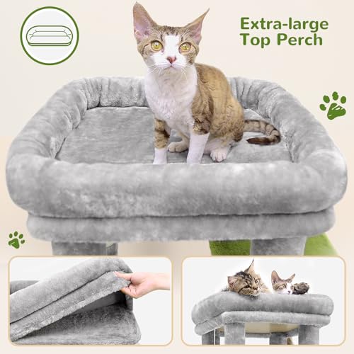 F61 Cat Tower for Indoor Cats, Heavy Duty with Scratching Post, Light Grey, 61 inch H2542