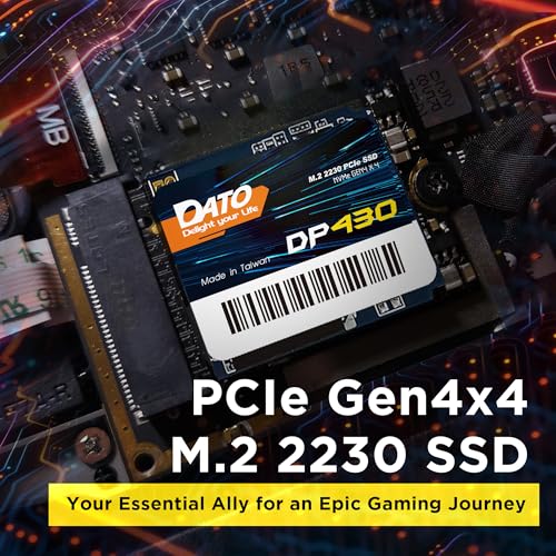 DATO DP430 1TB M.2 2230 PCIe Gen4x4 NVMe SSD Z438