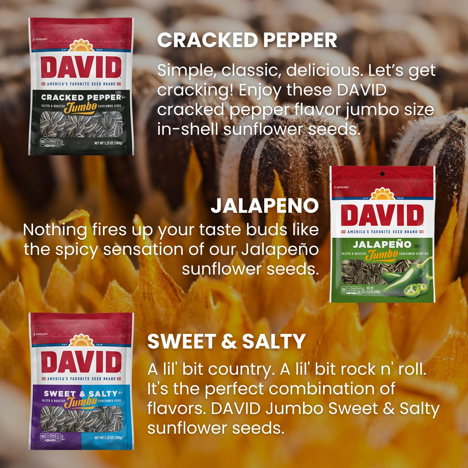 DAVIDs Sunflower Seeds Variety Pack, 5.25 oz, 9 Count R441323