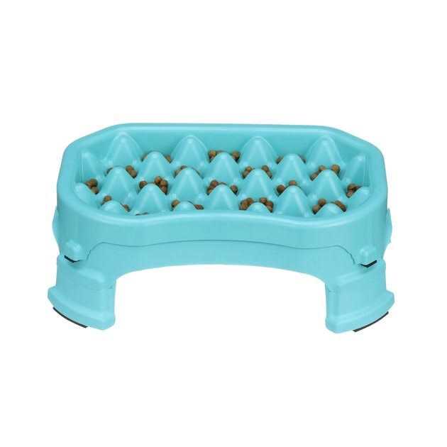 Neater Pet Brands Raised Slow Feeder Dog Bowl E7060