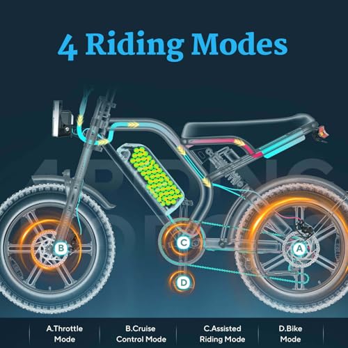 K6 Electric Bike for Adults, 20 x 4 Inch Fat Tire, 750W Motor, 48V Detachable Battery M879
