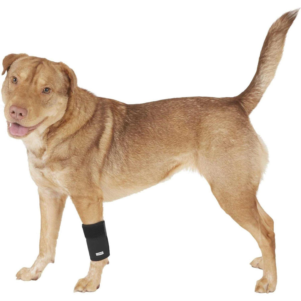 Labra Co. Dog Canine Front Leg Compression Brace Wrap Sleeve Protects Wounds Brace Heals and Prevents Injuries and Sprains Helps with Loss of - Pet Supplies online store