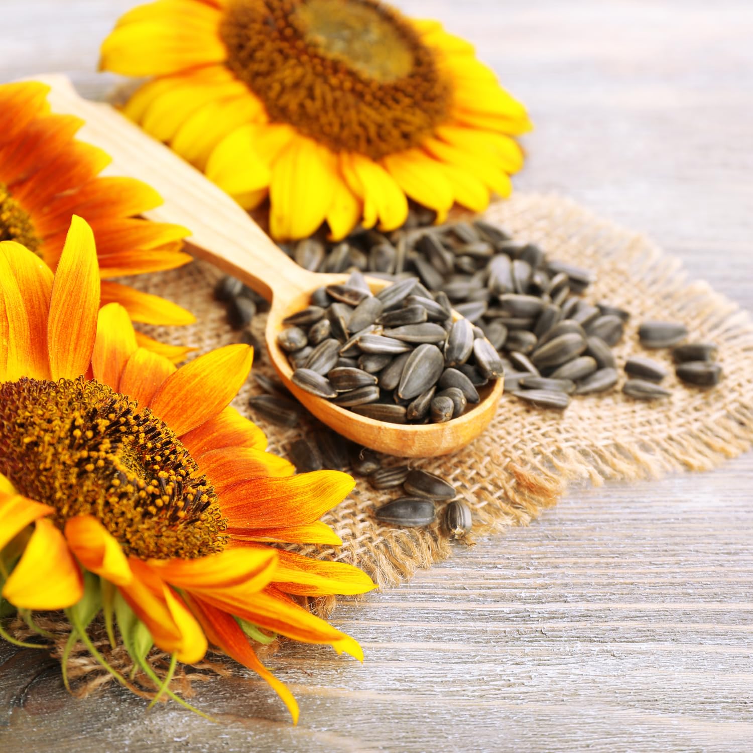 DAVIDs Sunflower Seeds Variety Pack, 5.25 oz, 9 Count R441323