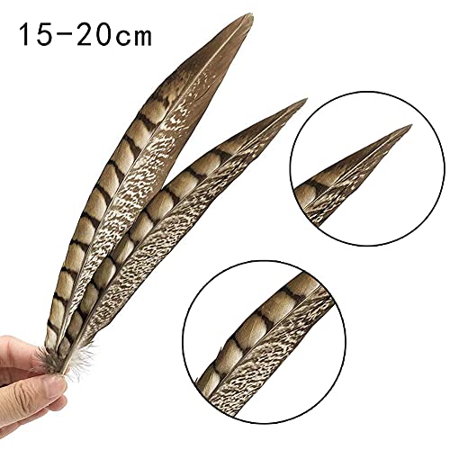 Flying Feathers Natural Pheasant Feathers 12pcs for DIY Craft Decor V9204