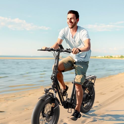 CycFree Electric Bike for Adults, 1000W Peak Motor, 48V 15.6Ah Removable Battery, 20" Fat Tire Step-Thru E21109