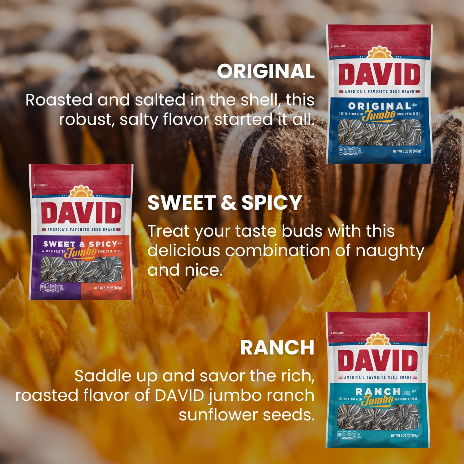 DAVIDs Sunflower Seeds Variety Pack, 5.25 oz, 9 Count R441323