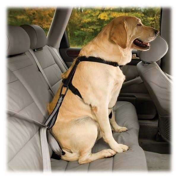 Kurgo Seat Belt Tether with Carabiner for Dogs B143