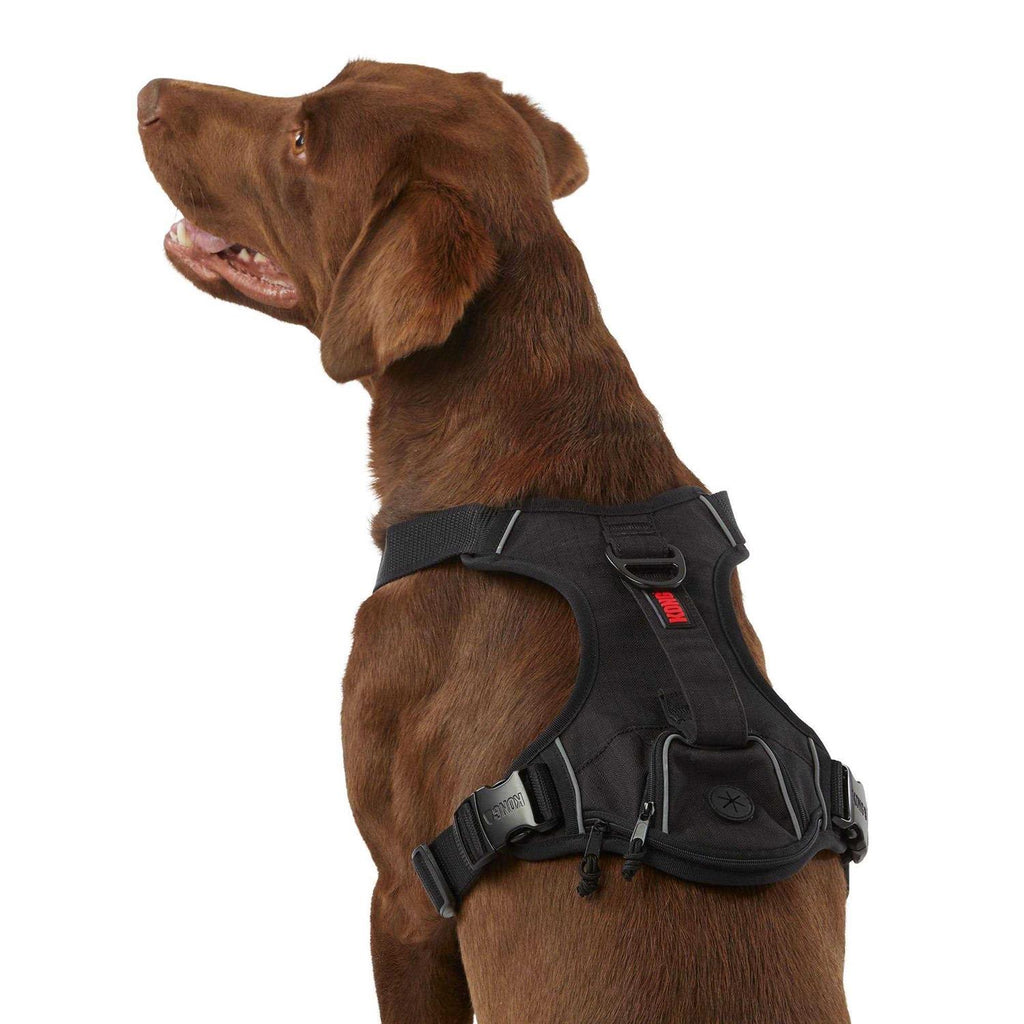 KONG Ultra Durable Waste Bag Harness C8704