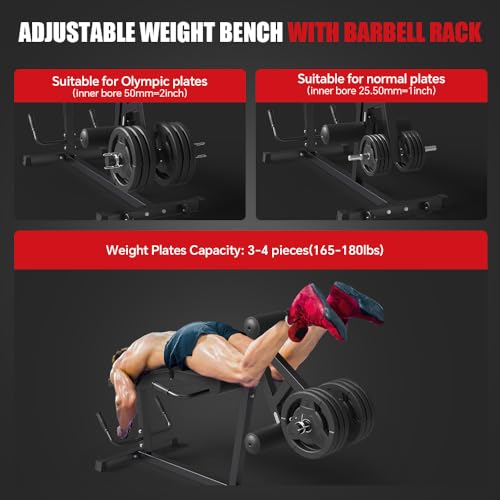 Seated Leg Extension and Lying Leg Curl Machine for Home Gym F986
