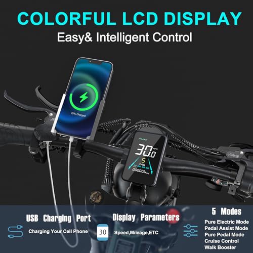 1000W Dual Motor Adults Electric Bike 48V 30Ah Fat Tire Ebike H2608