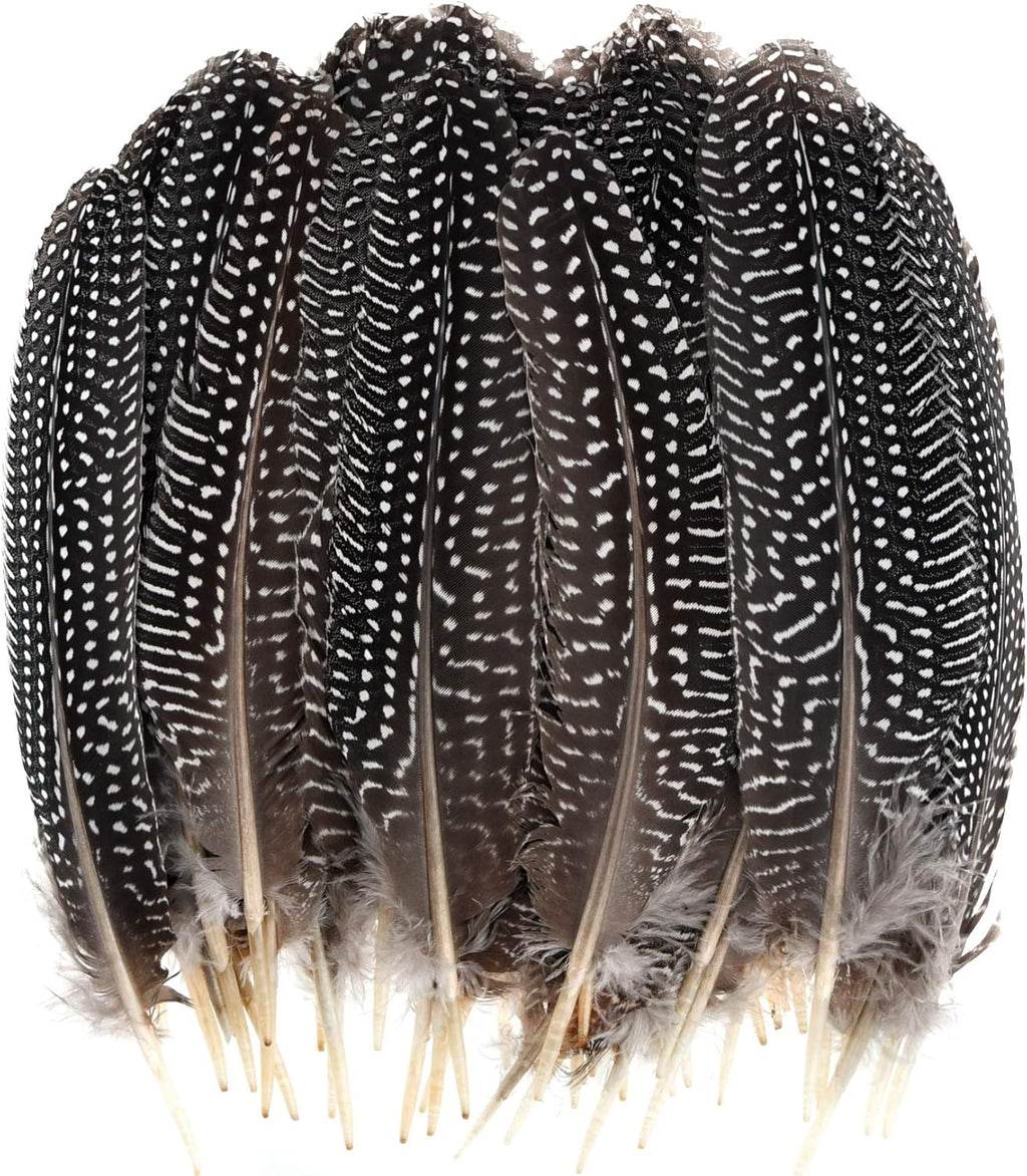 Dxhycc 50 Pcs 15-20cm Natural Spotted Feathers Pheasant Feathers for DIY Crafts Decoration Collection Wedding Party Home Decorations