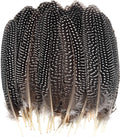 Dxhycc 50 Pcs 15-20cm Natural Spotted Feathers Pheasant Feathers for DIY Crafts Decoration Collection Wedding Party Home Decorations