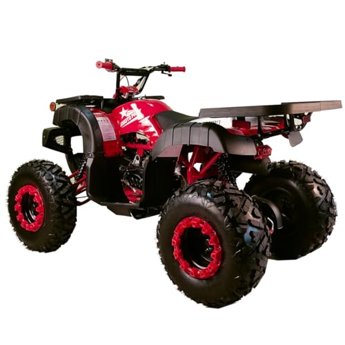 X-PRO 200 Utility ATV with Automatic Transmission, Red W73242